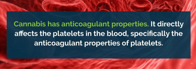 marijuana anticoagulant