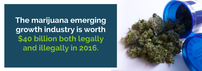 The marijuana emerging growth industry is worth $40 billion both legally and illegally in 2016