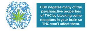 cbd-and-thc-300x107.jpg