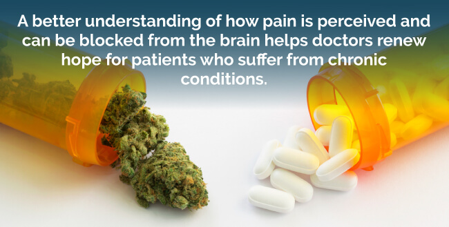 chronic pain treatment