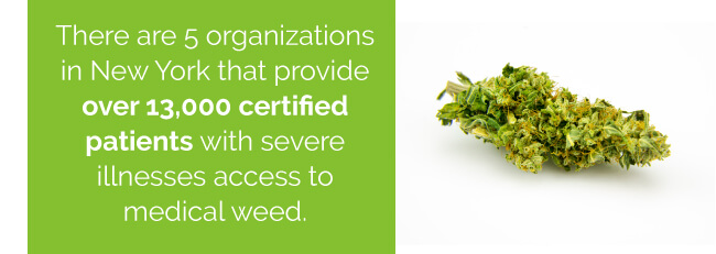 There are 5 organizations in New York that provide over 13,000 certified patients with severe illnesses access to medical weed