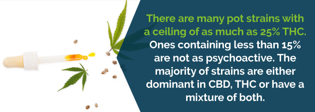 Most strains are dominate in CBD, THC or a mixture of both