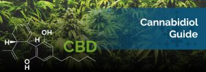 What Is CBD & What Can It Treat? | Cannabidiol Guide | Marijuana Doctors