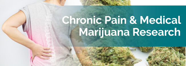 chronic pain research