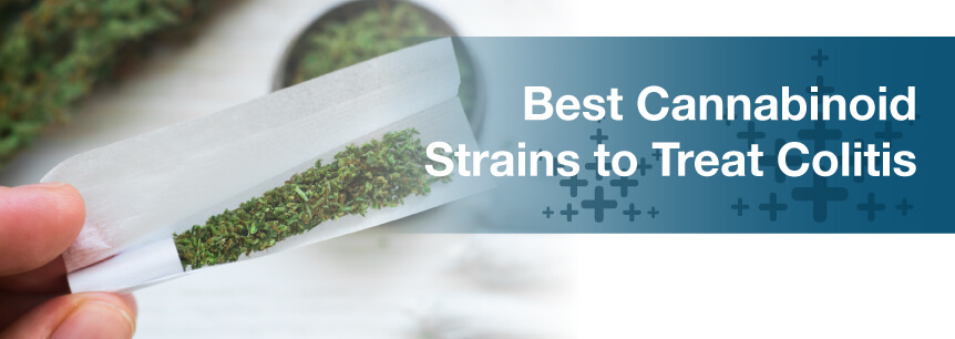 Best Cannabinoid Strains to Treat Colitis