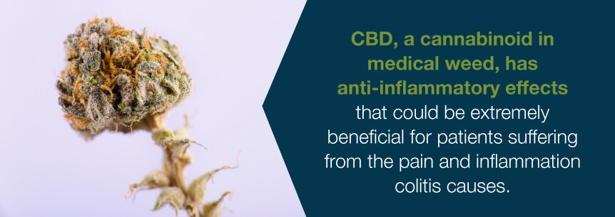 cbd for colitis