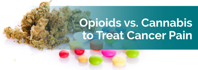 Opioids Vs. Cannabis To Treat Cancer Pain | Medical Marijuana