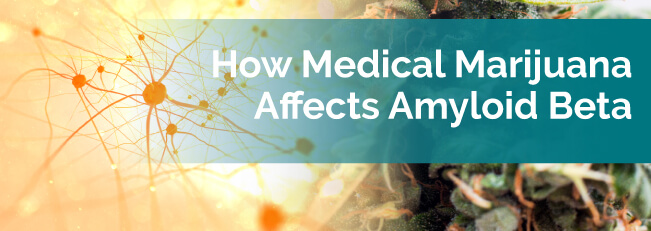 How Medical Marijuana Affects Amyloid Beta | Alzheimer's Treatment