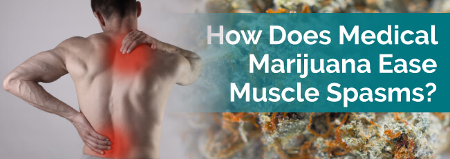 How Does Medical Marijuana Ease Muscle Spasms?