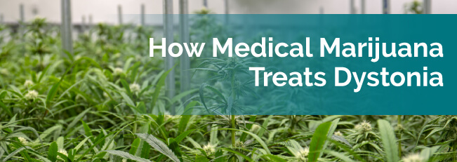 How Medical Marijuana Treats Dystonia