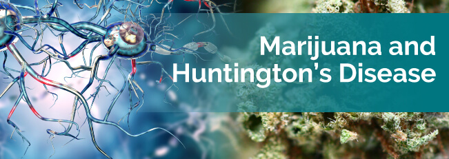 marijuana and huntingtons disease