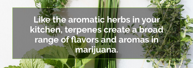 marijuana aromatherapy