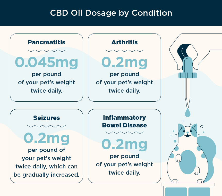 The Cbd Dosing For Dogs: Choosing & Calculating The Right Dose … PDFs — Название сайта