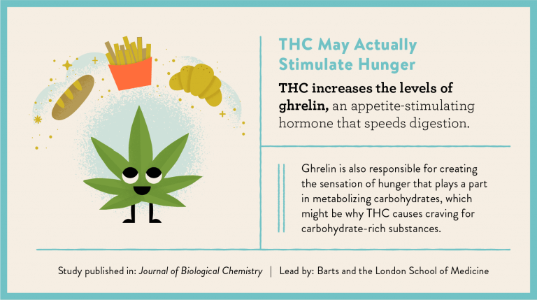 The Science Behind Cannabis And The Munchies | Marijuana Doctors ...