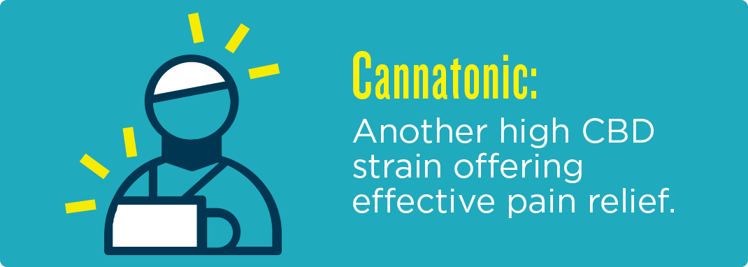 04-Cannatonic