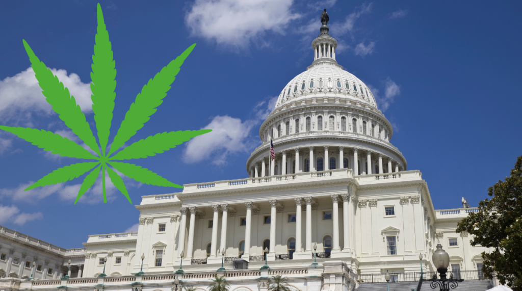 US-Senate-Cannabis-Legalization-1-1-1024x570