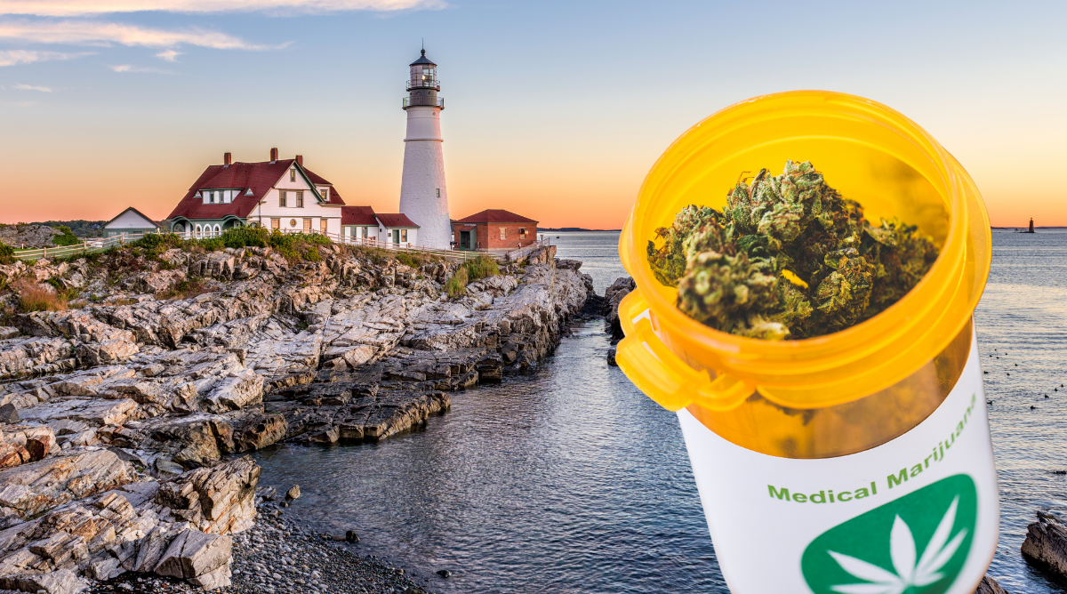 Cannabis Caregivers in Maine Face Strict New Requirements