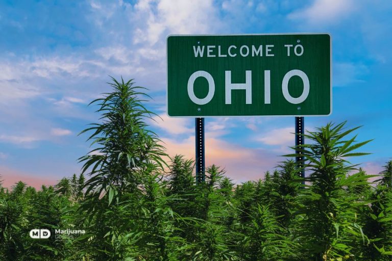 Ohio Legalizes Adult-Use Cannabis: Explore Their New Rec Program