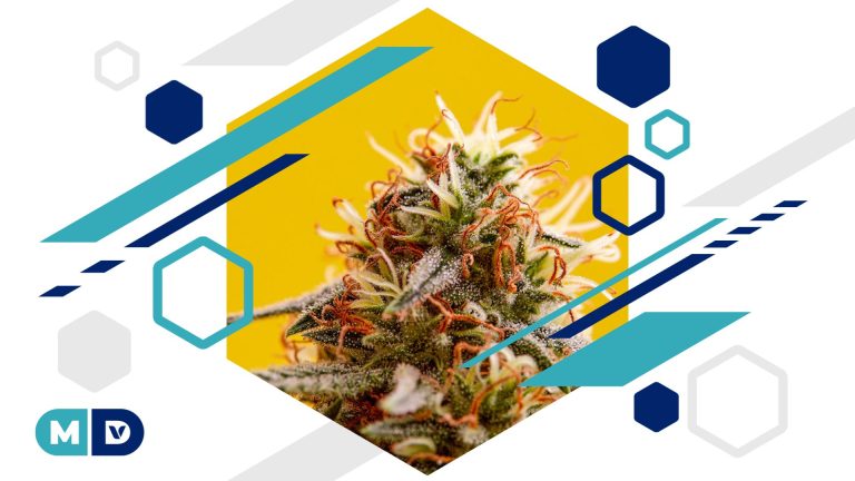 What Is THCP? Legality, Side Effects, And Benefits – Marijuana Doctors