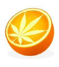 Orange Medical Marijuana Recommendations  logo